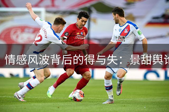 情感风波背后的得与失：景甜舆论战局解析